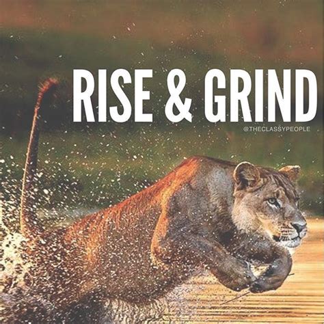 Rise & Grind